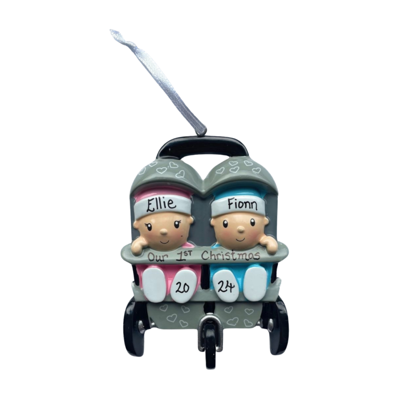 New Twins in Stroller Boy+Girl