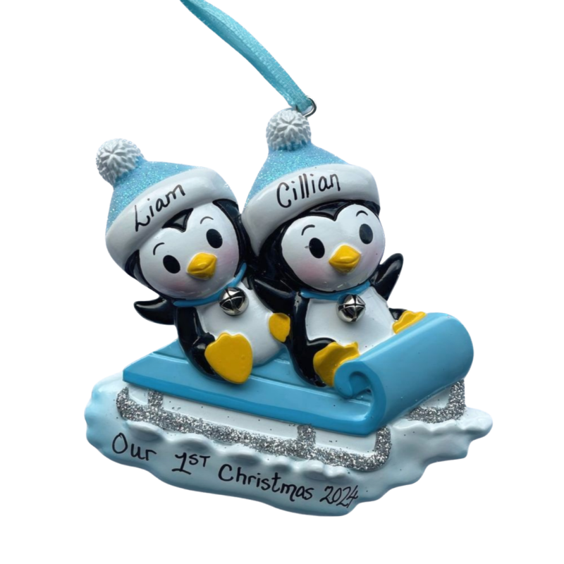Twins On Sled Blue/Blue