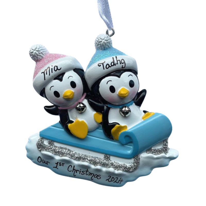 Twins On Sled Pink/Blue