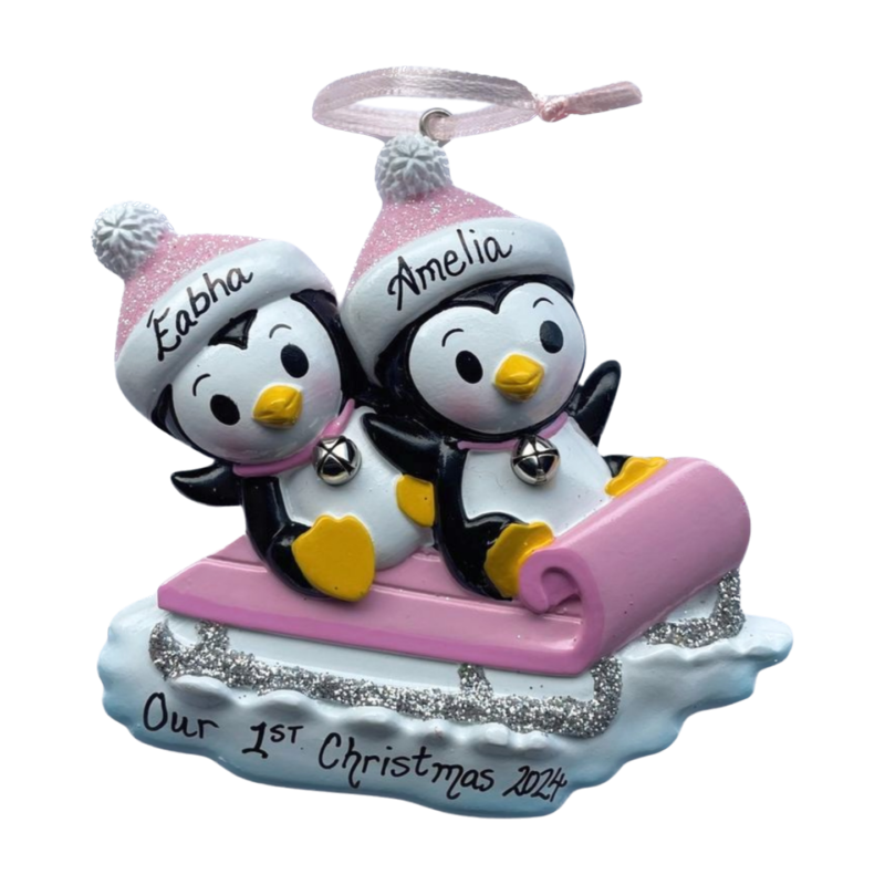 Twins On Sled Pink/Pink