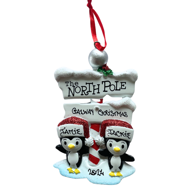 North Pole Penguin 2