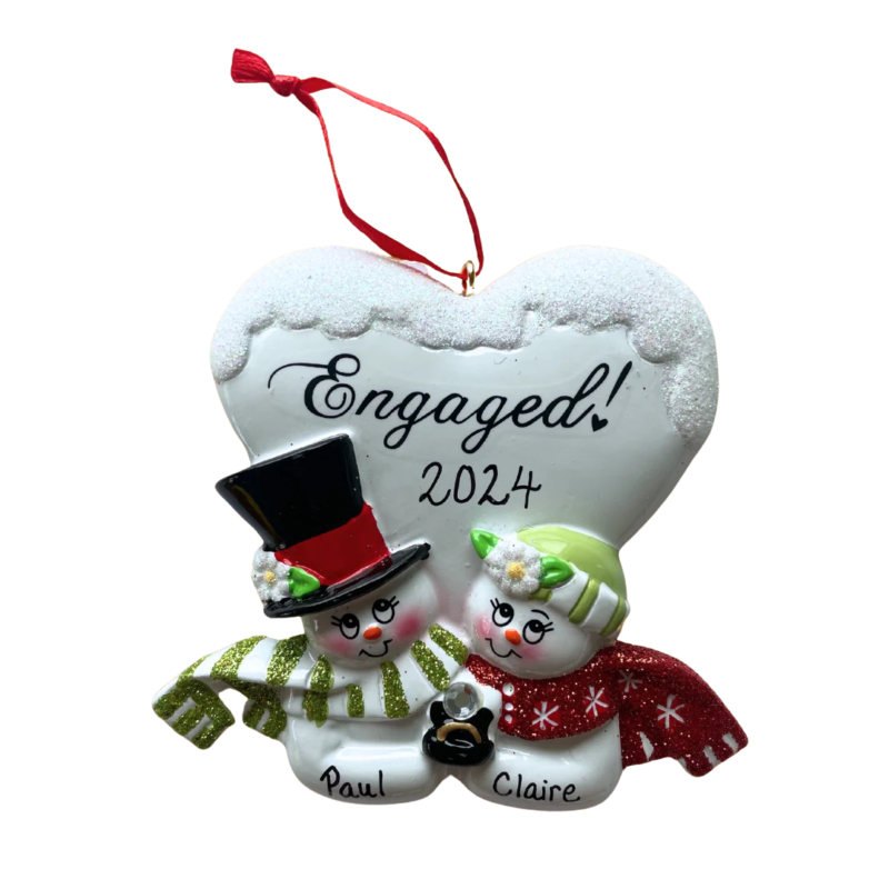 Engaged Snow Couple