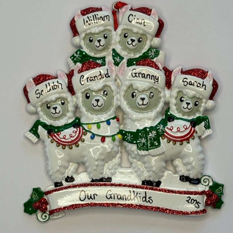 Llama Family 6 Personalised Decoration
