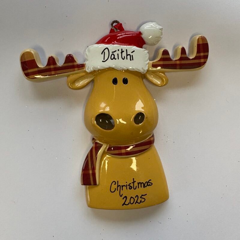 Reindeer with Scarf Personalised Decoration