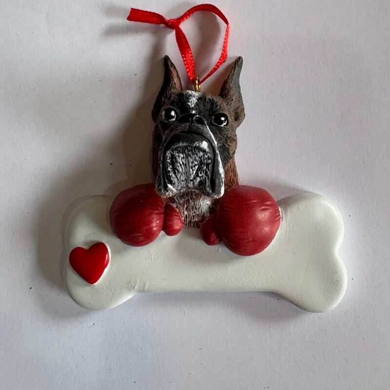 Boxer
