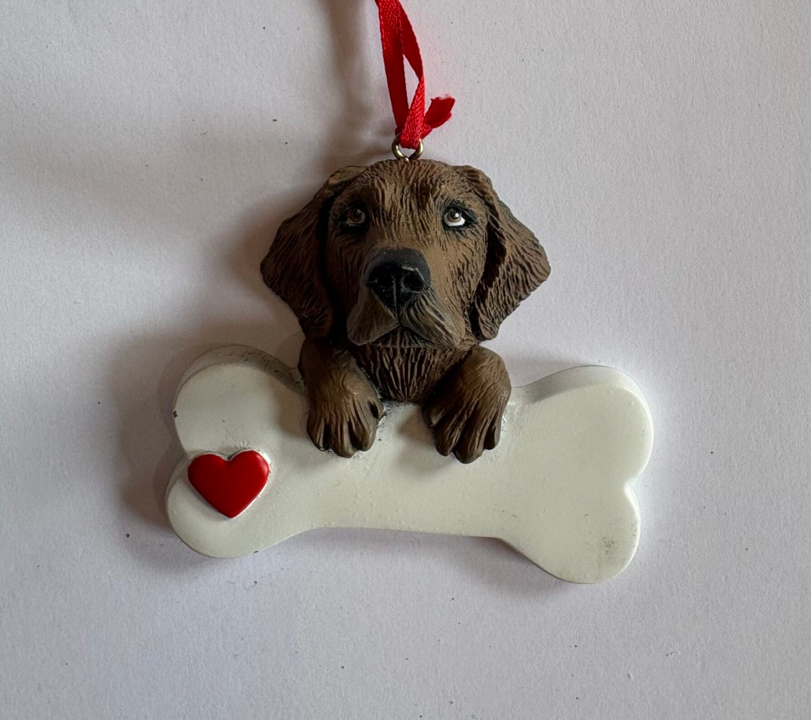 Chocolate labrador