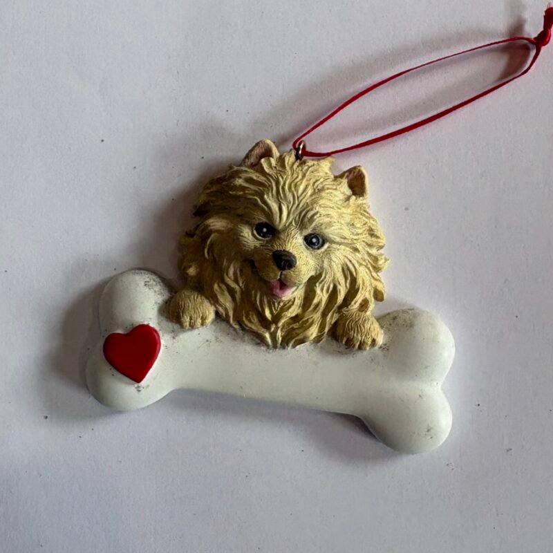 Pomeranian