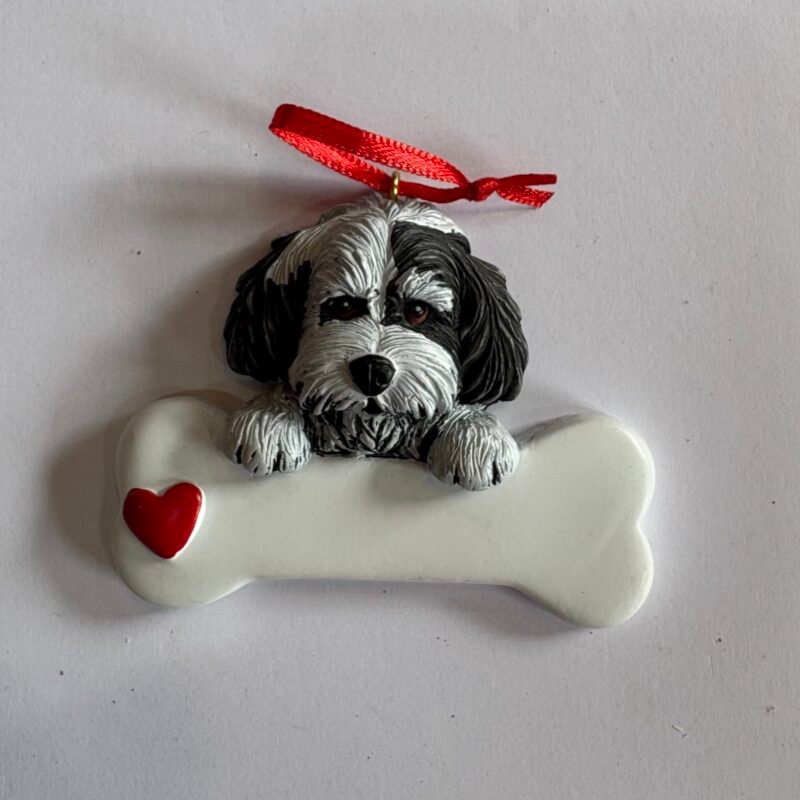 Havanese