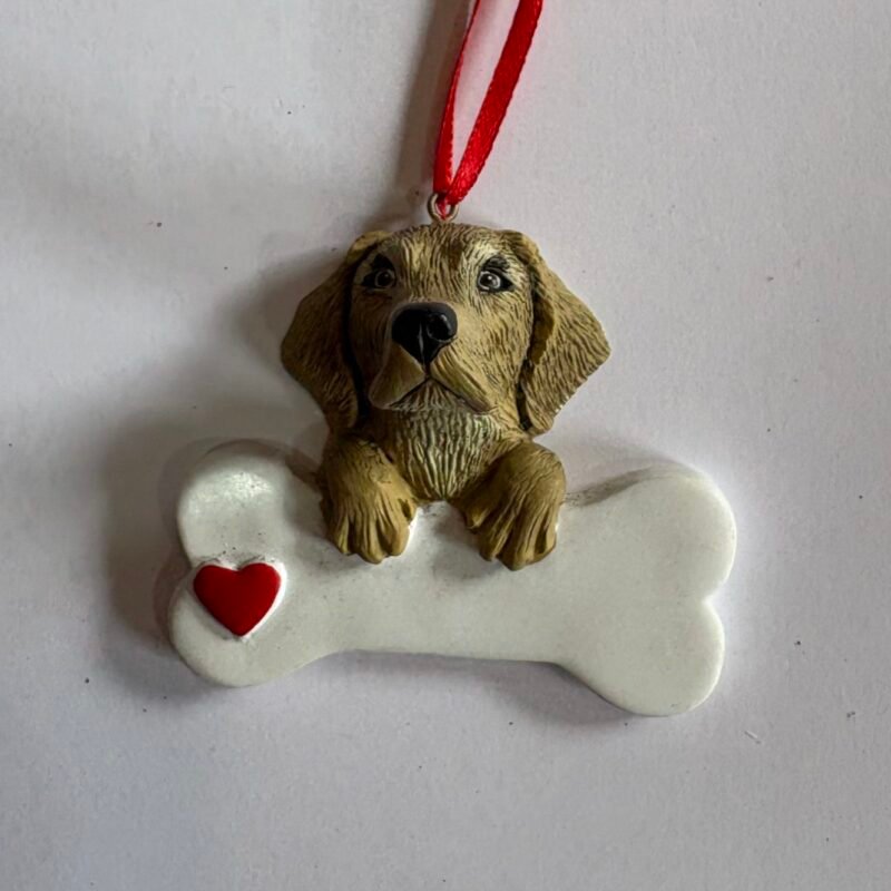 Labrador Retriever Y