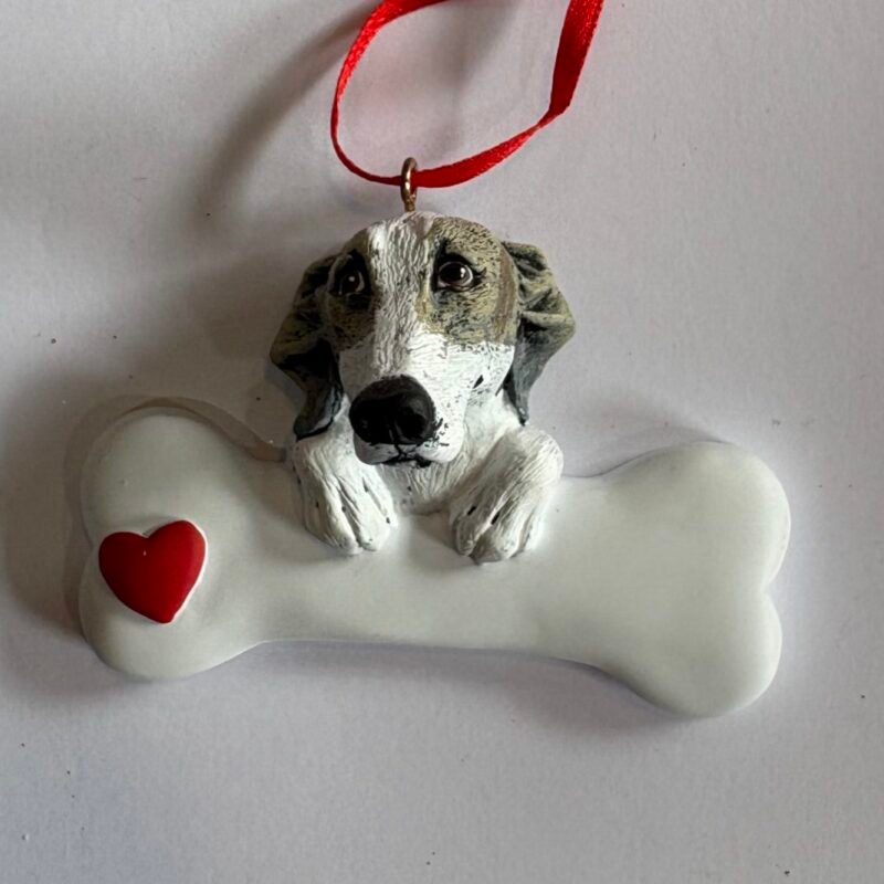 Greyhound