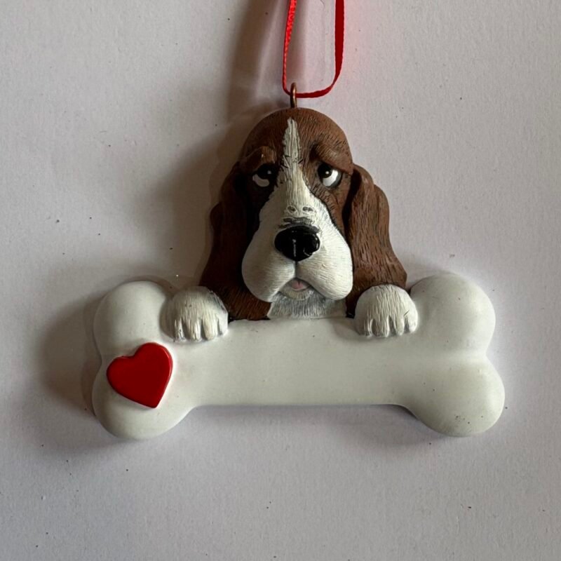 Basset Hound
